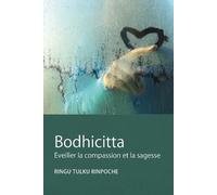 Ringu Tulku Bodhicitta (Tascabile) Lazy Lama Série
