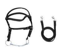 Rinno di Cavallo, Briglia a Cavallo, browband Imbottito in Nylon browband Bridle bransa equestre rein con Fibbia in Acciaio Inossidabile per Cavalcata (Nero S)