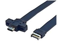 Rinteea USB3.2 Gen2x2 Scheda Tipo-E Terminale Tipo-C Anteriore C Madre 10G/20Gbps Filo Piatto 50cm
