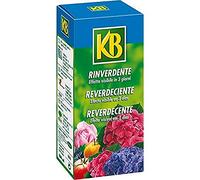 Rinverdente 200 ml KB