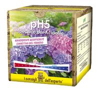 Rinverdente acidificante PH 5 Scatola g 700