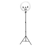 Rio Luce ad anello a LED dimmerabile professionale da 45,7 cm, per trucco e vlogging, 3 modalità di illuminazione, con treppiede regolabile e supporto per telefono, per selfie, TikTok, video YouTube