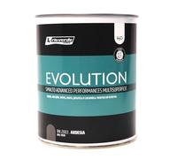 Renner Smalto ad Acqua EVOLUTION Lt 0,750 HACCP Interno-Esterno