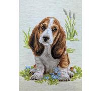 RIOLIS 1578 Basset Hound Puppy Cross Stitch Kit, Cotone, Multicolore, 26 X 38 X 0, 1 cm