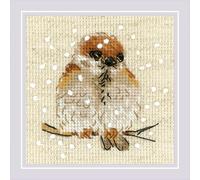 RIOLIS - Passero 1680, Punto croce 10x10cm, Punto croce kit da ricamare, Disegni da ricamare, Embroidery kit, Set punto croce, Kit ricamo punto croce