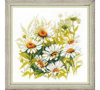 Riolis 1765 - Schema punto croce contato, motivo camomilla, cotone, multicolore, 3030 cm