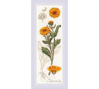 Riolis 1798 Calendula - Schema punto croce contato, cotone, multicolore, 1030 cm