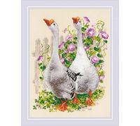 Riolis 1807 - Schema punto croce contato, in cotone, multicolore, 3040 cm