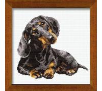 RIOLIS - Bassotto 906, Punto croce 25x25cm, Punto croce kit da ricamare, Disegni da ricamare, Embroidery kit, Set punto croce, Kit ricamo punto croce