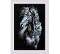 RIOLIS Breeze Through Mane Counted Cross Stitch Kit - 30x45cm, 14 Count, Punto croce kit da ricamare, Kit ricamo punto croce