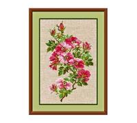 Riolis contato Kit Punto Croce Wild Rose Modello può Kit Punto Croce Multicolore