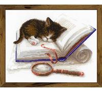 RIOLIS Counted Cross Stitch Kit 30x24 - Kitten On The Booklet (14 Count)