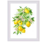 RIOLIS Counted Cross Stitch Kit 30x40cm - Bright Lemons (14 Count) -R2054, Punto croce kit da ricamare, Kit ricamo punto croce