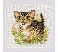 RIOLIS - Gattino del Bengala 2119, Punto croce 15x15cm, Punto croce kit da ricamare, Disegni da ricamare, Embroidery kit, Kit ricamo punto croce