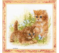 RIOLIS, Kit per Punto Croce, 25 x 25 cm, Motivo: Gattini