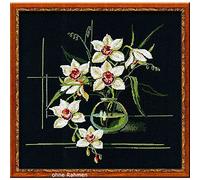 RIOLIS - Kit per Punto Croce, Orchidea Bianca, Multicolore