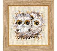 RIOLIS - Piccoli gufi 1755, Punto croce 13x13cm, Punto croce kit da ricamare, Disegni da ricamare, Embroidery kit, Set punto croce, Kit ricamo punto croce