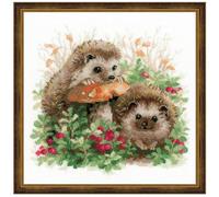 RIOLIS - Ricci nei mirtilli rossi 1469, Punto croce 25x25cm, Punto croce kit da ricamare, Disegni da ricamare, Embroidery kit, Set punto croce, Kit ricamo punto croce
