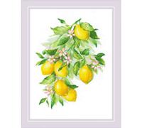 RIOLIS Counted Cross Stitch Kit 30x40cm - Bright Lemons (14 Count) -R2054, Punto croce kit da ricamare, Kit ricamo punto croce