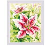 Riolis Set punto croce, motivo: gigli, 40 x 50 cm