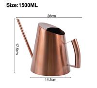 Riordina la tua routine di cura delle piante con un moderno annaffiatoio in acci