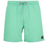 Rip Curl Offset Daily Volley Swimming Shorts Verde L Uomo