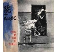 Rip Rig & Panic - You're My Kind Of Climate