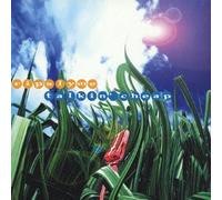 Rip Slyme - Talkin Cheap