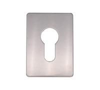 Riparazione Bocchetta Chiave Foro Piastra Euro Profilo Autoadesivo Fix Acciaio Inox Lucido 65 x 47mm