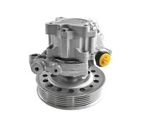 Riparazione della pompa dello sterzo Pompa servosterzo per Land per Rover LR2 Freelander 2 LR007208