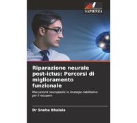 Riparazione neurale post-ictus: Percorsi di miglioramento funzionale: Meccanismi neuroplastici e strategie riabilitative per il recupero