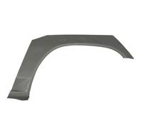 Riparazione parafango posteriore Sx 6504-03-3736581P BLIC per MITSUBISHI