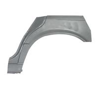 Riparazione parafango posteriore Sx Sezione esterna 6504-03-0057581P BLIC