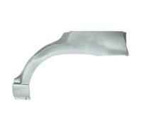 Riparazione parafango posteriore Sx Sezione esterna 6504-03-7513581P BLIC