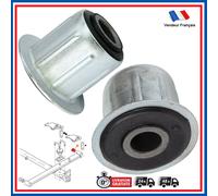 Riparazione Silent Block Sospensione Treno Posteriore per Jumper Ducato Boxer