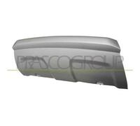 Riparo Inferiore Paraurti Anteriore Land Rover Range Rover Evoque (l538) 11/15