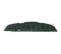 Riparo Sotto Paraurti Anteriore Per RENAULT SCENIC Dal 2003 Al 2006