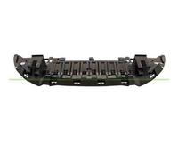 BLIC 6601-02-6046881P Protezione sottoscocca / motore