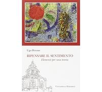 Ripensare il sentimento. Elementi per una teoria