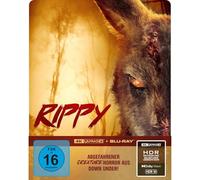 Rippy - Das Killerkänguru - 2-Disc Limited Collector's SteelBook (UHD-Blu-ray + Blu-ray)