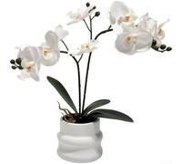 Riproduzione di orchidee artificiali basata sulla varietà Phalaenopsis con attenzione ai dettagli dei bordi e precisione della formazione delle gemme (C)