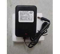 RIRICAR Caricabatterie OEM 12V per Corsa elettrica su Auto (Presa EU)