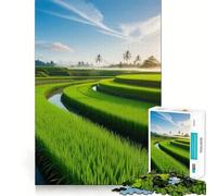 Risaia all'alba - Puzzle difficile per adulti, 1000 pezzi Migliora la memoria, rilassa la mente, bordi netti, elegante regalo (38x52cm)
