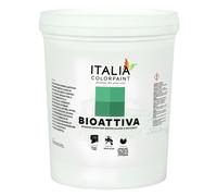Italia colorpaint Bioattiva I Pre Trattamenti Bonificanti Per Muffa Soluzione Trasparente Sanificante Sterilizzante per Pareti (Litri 1)