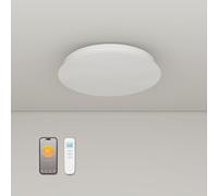 Riscaldatore a infrarossi a soffitto con termostato 750 Watt, riscaldamento a infrarossi a soffitto, torcia riscaldante circolare a soffitto, controllo APP e telecomando, riscaldamento elettrico