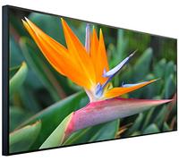 Riscaldatore a infrarossi Ecowelle con immagine | 1200 watt | 60x120 cm | Riscaldamento a infrarossi| | Fatto in Germania