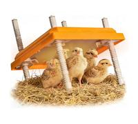 Riscaldatore per pulcini - Piastra per pulcini con temperatura regolabile in altezza regolabile per 12 pulcini