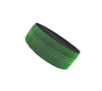 Risdany Elastico Addensato da 5 Metri, Cinghia Elastica in Gomma per Divano, Elastico Decorativo per Riparazione mobili,Verde,100 mm