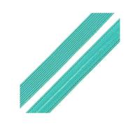 Risdany Elastico in Silicone da 4 Metri da 10 mm, Elastico Antiscivolo, Cinghie per Biancheria Intima, Accessori per Cucire in Vita,10 mm