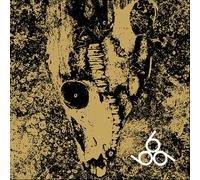 Rise And Fall - Our Circle Is Vicious - Cd